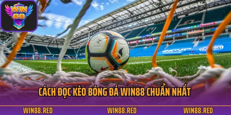 Cách Đọc Kèo Bóng Đá Được Chia Sẻ Từ Nền Tảng Giải Trí Win88 2 Cách đọc kèo bóng đá Win88 chuẩn nhất