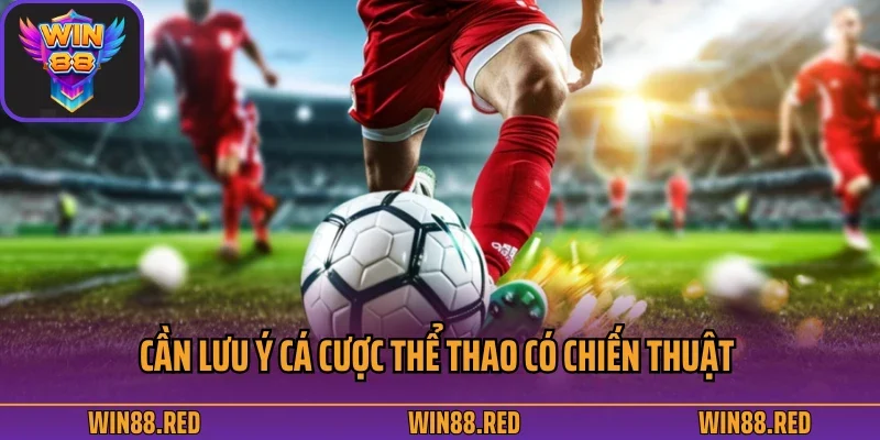 Cách Đọc Kèo Bóng Đá Được Chia Sẻ Từ Nền Tảng Giải Trí Win88 4 Cần lưu ý cá cược thể thao có chiến thuật